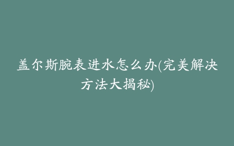 盖尔斯腕表进水怎么办(完美解决方法大揭秘)