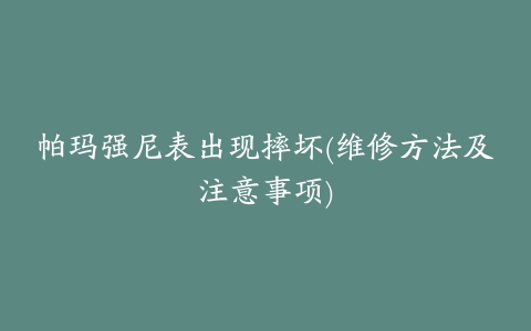 帕玛强尼表出现摔坏(维修方法及注意事项)