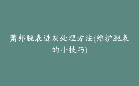 萧邦腕表进灰处理方法(维护腕表的小技巧)