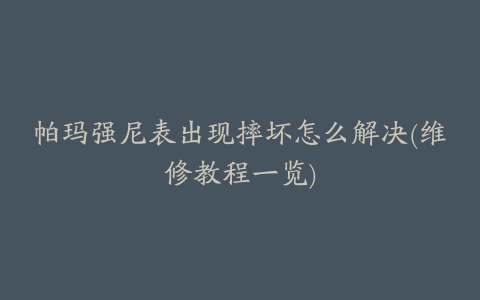 帕玛强尼表出现摔坏怎么解决(维修教程一览)