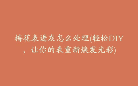 梅花表进灰怎么处理(轻松DIY,让你的表重新焕发光彩)
