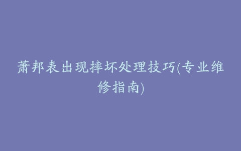 萧邦表出现摔坏处理技巧(专业维修指南)