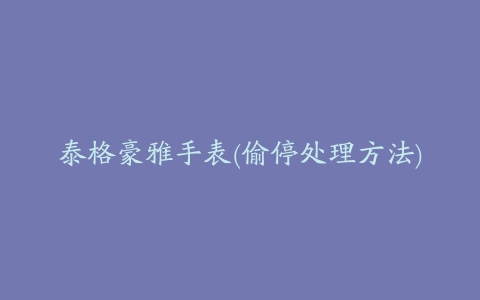 泰格豪雅手表(偷停处理方法)