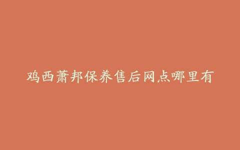 鸡西萧邦保养售后网点哪里有