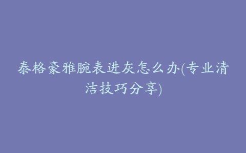 泰格豪雅腕表进灰怎么办(专业清洁技巧分享)