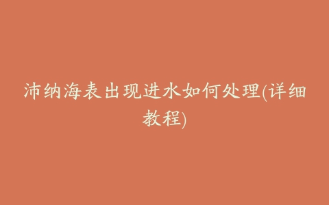 沛纳海表出现进水如何处理(详细教程)