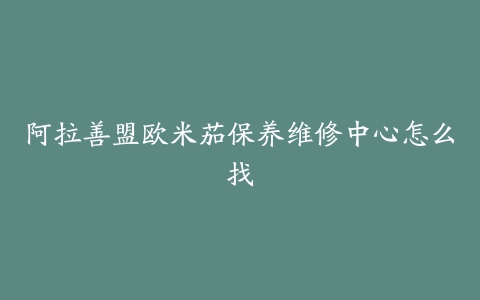 阿拉善盟欧米茄保养维修中心怎么找