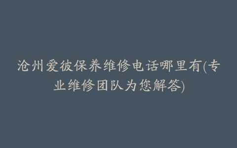 沧州爱彼保养维修电话哪里有(专业维修团队为您解答)