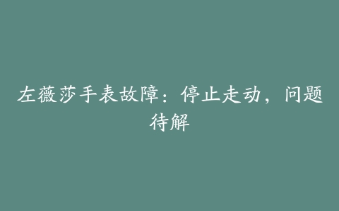 左薇莎手表故障:停止走动,问题待解