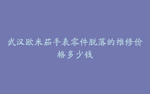 武汉欧米茄手表零件脱落的维修价格多少钱