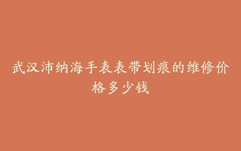武汉沛纳海手表表带划痕的维修价格多少钱