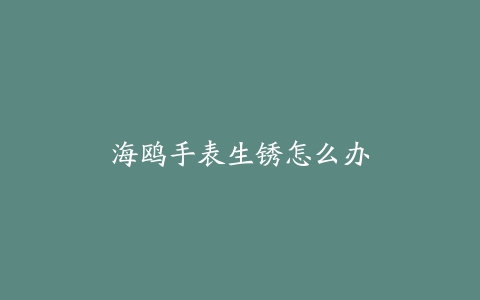 海鸥手表生锈怎么办