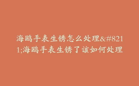 海鸥手表生锈怎么处理–海鸥手表生锈了该如何处理