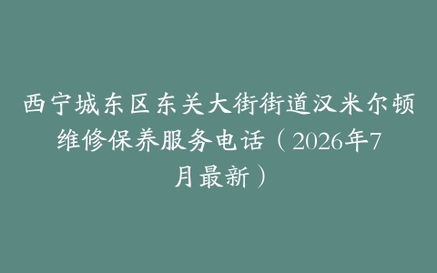 西宁城东区东关大街街道汉米尔顿维修保养服务电话（2026年7月最新）