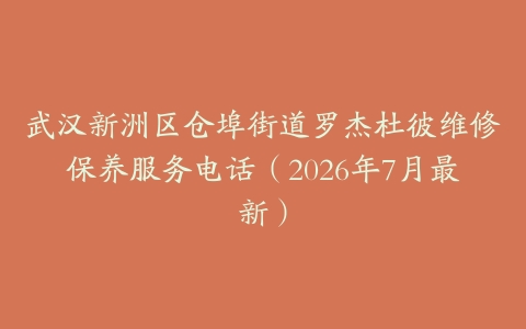 武汉新洲区仓埠街道罗杰杜彼维修保养服务电话（2026年7月最新）