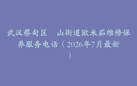 武汉蔡甸区奓山街道欧米茄维修保养服务电话（2026年7月最新）