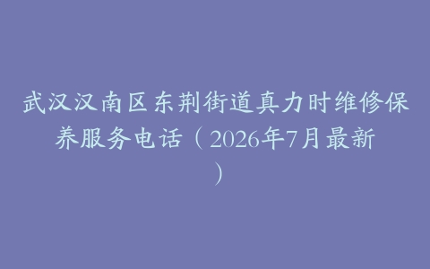 武汉汉南区东荆街道真力时维修保养服务电话（2026年7月最新）