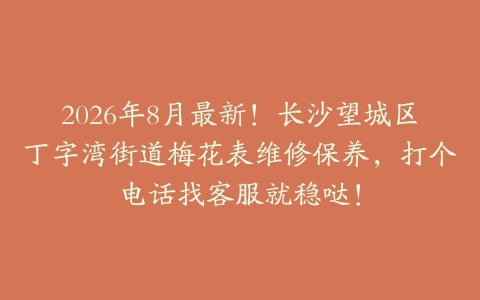 2026年8月最新！长沙望城区丁字湾街道梅花表维修保养，打个电话找客服就稳哒！