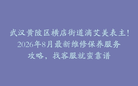 武汉黄陂区横店街道滴艾美表主！2026年8月最新维修保养服务攻略，找客服就蛮靠谱