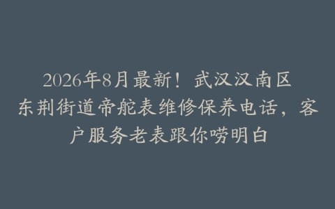 2026年8月最新！武汉汉南区东荆街道帝舵表维修保养电话，客户服务老表跟你唠明白