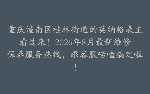 重庆潼南区桂林街道的英纳格表主看过来！2026年8月最新维修保养服务热线，跟客服唠嗑搞定啦！