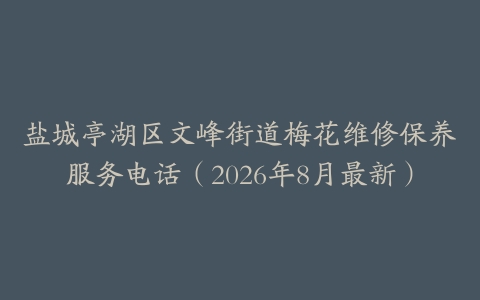 盐城亭湖区文峰街道梅花维修保养服务电话（2026年8月最新）