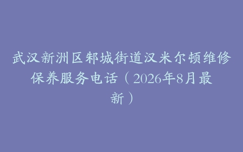 武汉新洲区邾城街道汉米尔顿维修保养服务电话（2026年8月最新）