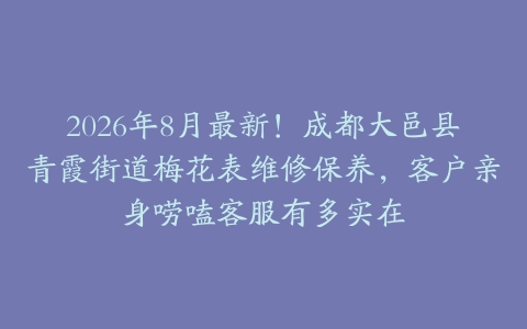 2026年8月最新！成都大邑县青霞街道梅花表维修保养，客户亲身唠嗑客服有多实在