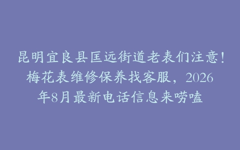 昆明宜良县匡远街道老表们注意！梅花表维修保养找客服，2026年8月最新电话信息来唠嗑