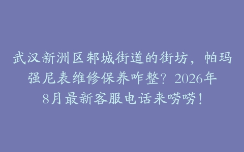 武汉新洲区邾城街道的街坊，帕玛强尼表维修保养咋整？2026年8月最新客服电话来唠唠！