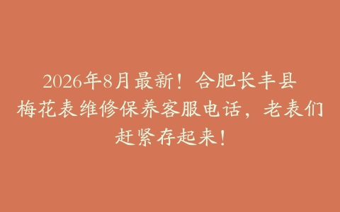 2026年8月最新！合肥长丰县梅花表维修保养客服电话，老表们赶紧存起来！