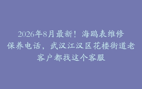 2026年8月最新！海鸥表维修保养电话，武汉江汉区花楼街道老客户都找这个客服