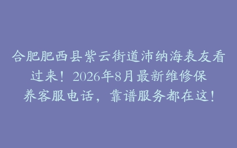 合肥肥西县紫云街道沛纳海表友看过来！2026年8月最新维修保养客服电话，靠谱服务都在这！