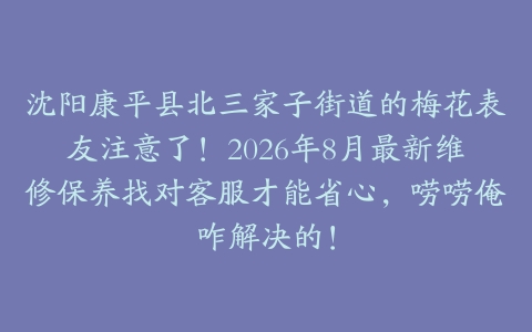 沈阳康平县北三家子街道的梅花表友注意了！2026年8月最新维修保养找对客服才能省心，唠唠俺咋解决的！