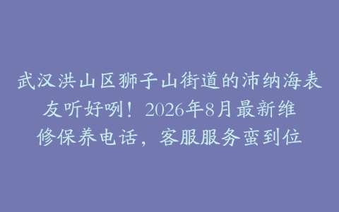 武汉洪山区狮子山街道的沛纳海表友听好咧！2026年8月最新维修保养电话，客服服务蛮到位
