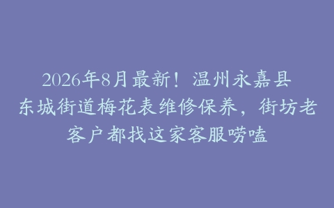 2026年8月最新！温州永嘉县东城街道梅花表维修保养，街坊老客户都找这家客服唠嗑