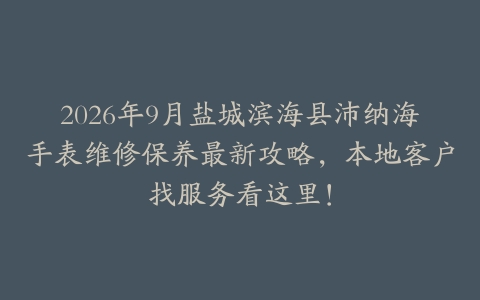 2026年9月盐城滨海县沛纳海手表维修保养最新攻略，本地客户找服务看这里！
