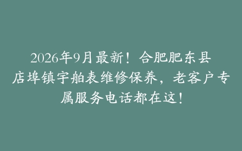 2026年9月最新！合肥肥东县店埠镇宇舶表维修保养，老客户专属服务电话都在这！