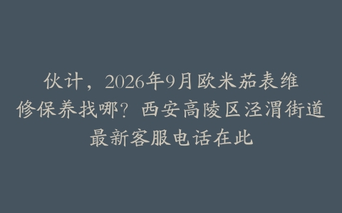 伙计，2026年9月欧米茄表维修保养找哪？西安高陵区泾渭街道最新客服电话在此
