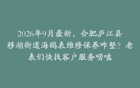 2026年9月最新，合肥庐江县移湖街道海鸥表维修保养咋整？老表们快找客户服务唠嗑