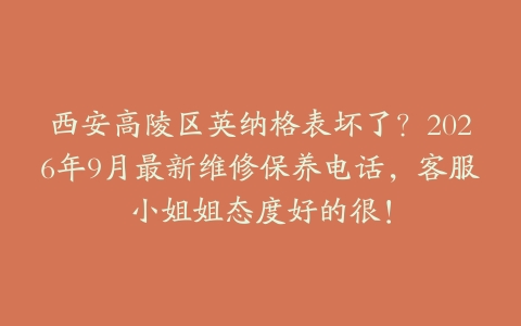 西安高陵区英纳格表坏了？2026年9月最新维修保养电话，客服小姐姐态度好的很！