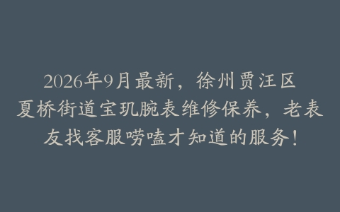 2026年9月最新，徐州贾汪区夏桥街道宝玑腕表维修保养，老表友找客服唠嗑才知道的服务！