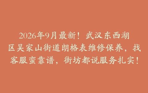 2026年9月最新！武汉东西湖区吴家山街道朗格表维修保养，找客服蛮靠谱，街坊都说服务扎实！