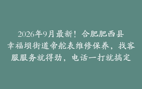 2026年9月最新！合肥肥西县幸福坝街道帝舵表维修保养，找客服服务就得劲，电话一打就搞定