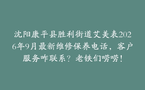 沈阳康平县胜利街道艾美表2026年9月最新维修保养电话，客户服务咋联系？老铁们唠唠！