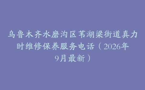 乌鲁木齐水磨沟区苇湖梁街道真力时维修保养服务电话（2026年9月最新）
