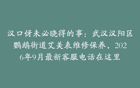 汉口伢未必晓得的事：武汉汉阳区鹦鹉街道艾美表维修保养，2026年9月最新客服电话在这里