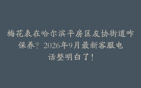 梅花表在哈尔滨平房区友协街道咋保养？2026年9月最新客服电话整明白了！