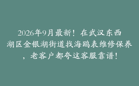 2026年9月最新！在武汉东西湖区金银湖街道找海鸥表维修保养，老客户都夸这客服靠谱！