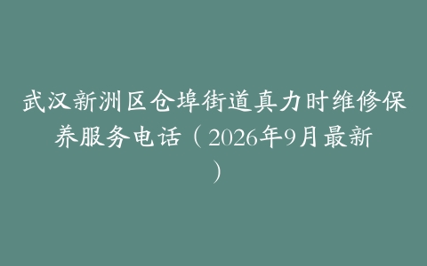 武汉新洲区仓埠街道真力时维修保养服务电话（2026年9月最新）